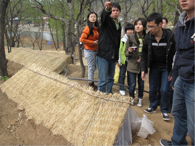 2011061008xp.jpg