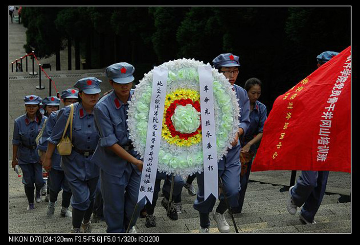 2010102158-wah.jpg