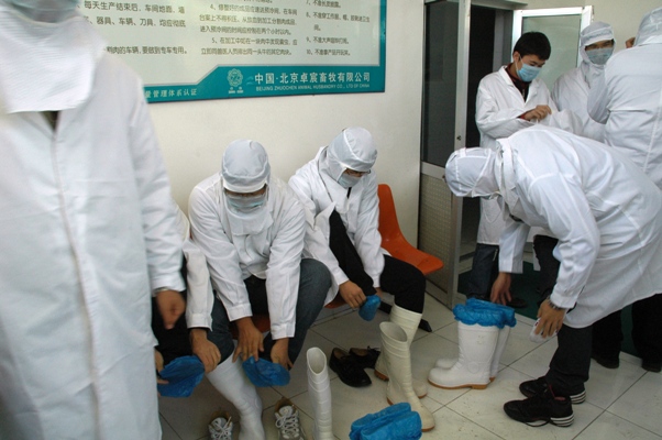 2010111612-dyj.jpg