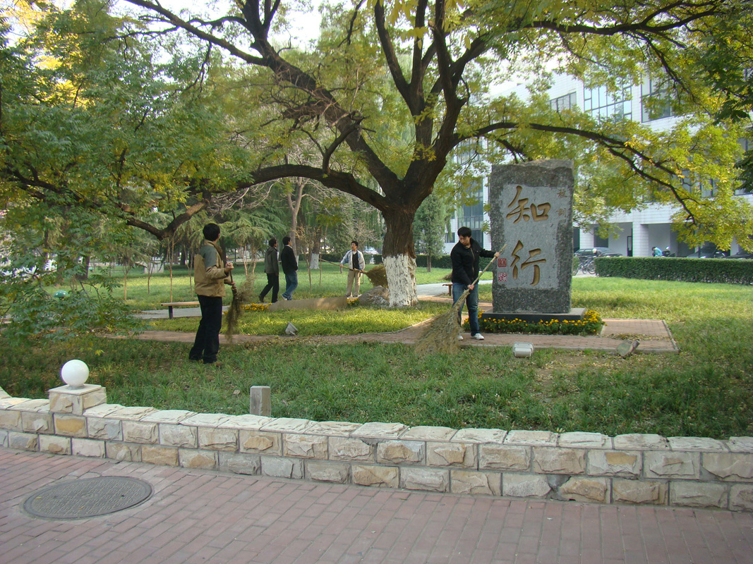 2008111804.jpg