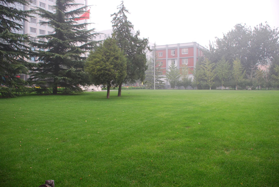 09093011_xg.jpg