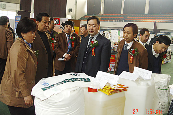 05033002.jpg