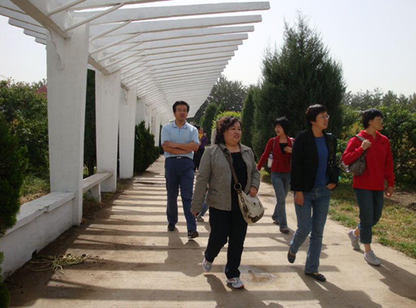 20090924o6dyp.jpg