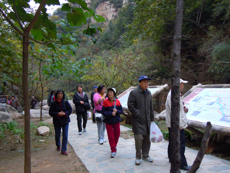 2010101902-dyj.jpg