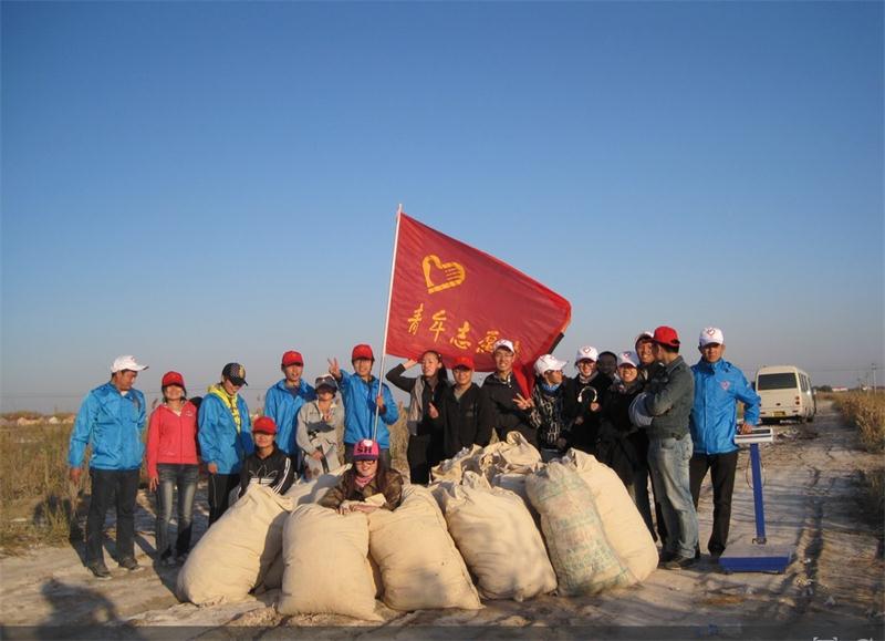共青团农场拾棉花.jpg