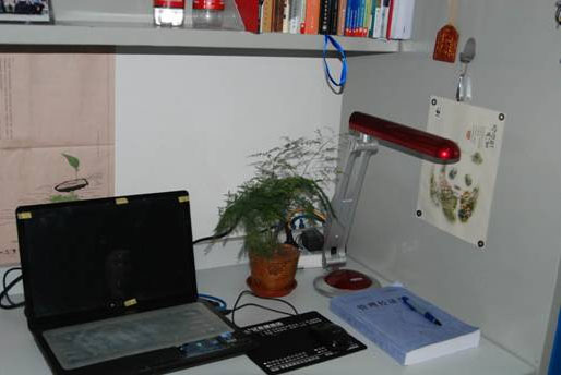 2010120603-mh.jpg