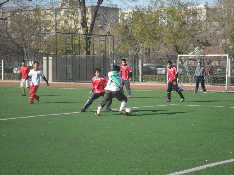 2010112508-dyj.jpg