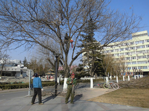 后勤职工寒假期间坚守岗位服务师生3.jpg