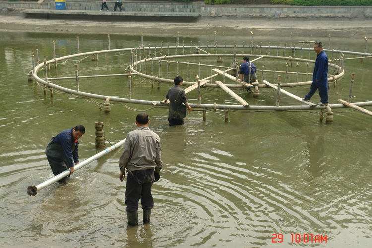 2011050501_zxw.jpg