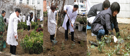 2010042316wz.gif