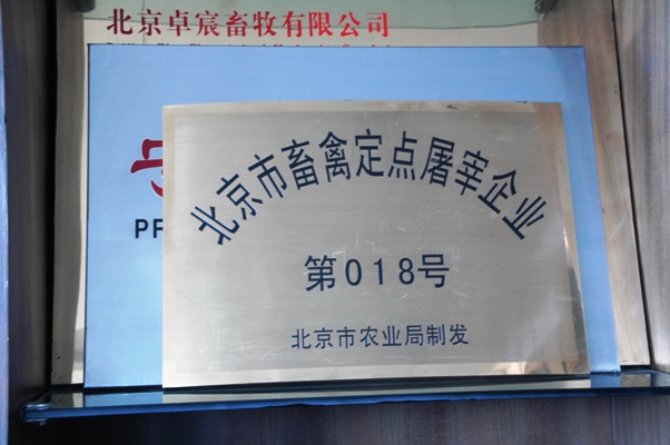 2010111613-dyj.jpg