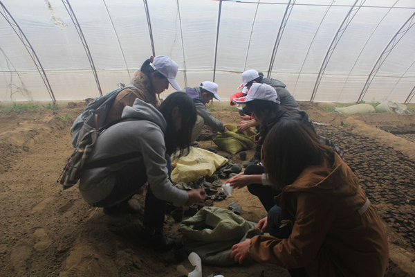 20120319lijj1.jpg