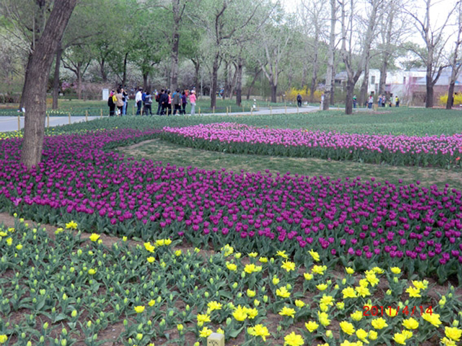 2011041503_zxw.jpg