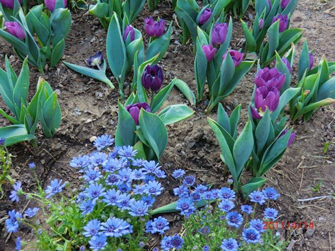 2011041504_zxw.jpg