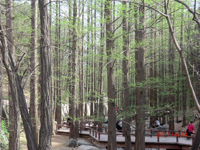 2011041506_zxw.jpg