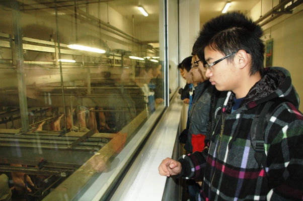 2010102525-wah.jpg
