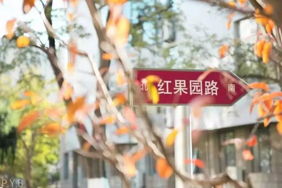 说明: C:\Users\HP\Desktop\640.webp (17).jpg