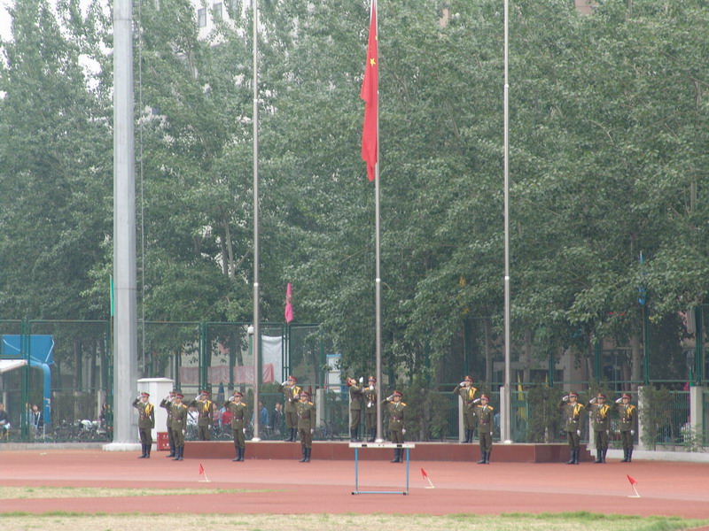 p6.jpg
