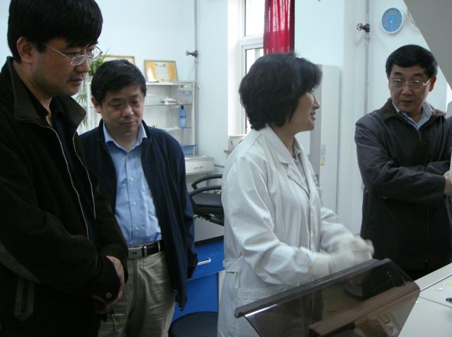 09043008_xg.jpg