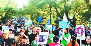 20131110rb04bRB4Cb003.jpg