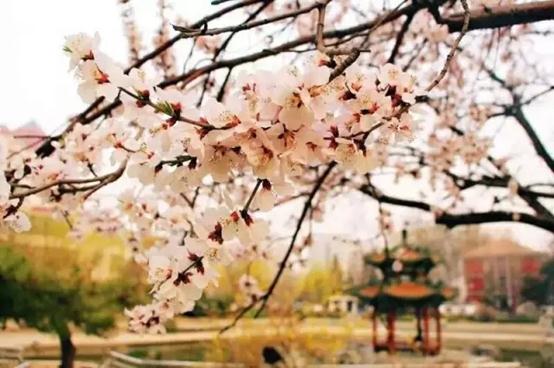 说明: C:\Users\HP\Desktop\640.webp (20).jpg