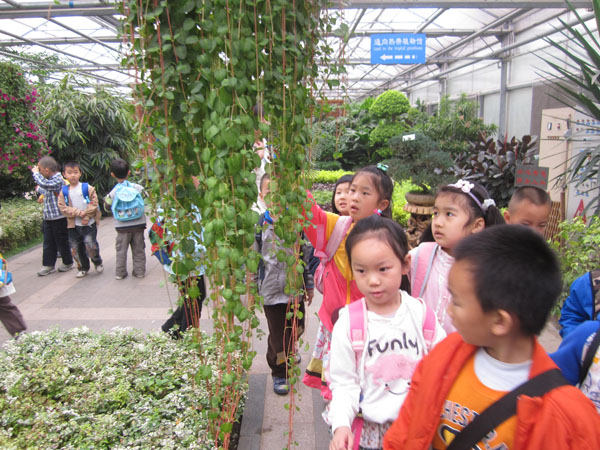 2011051104-tcl.jpg