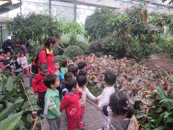 2011051105-tcl.jpg